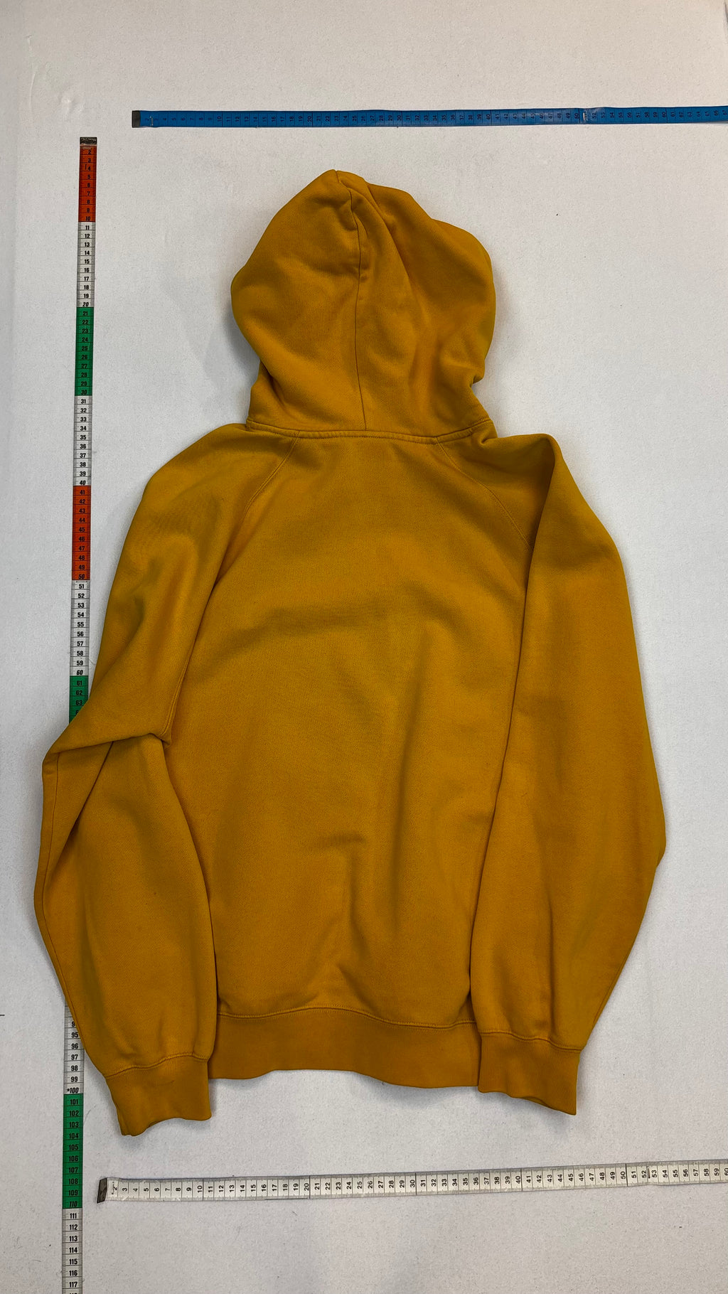 Polar hoodie